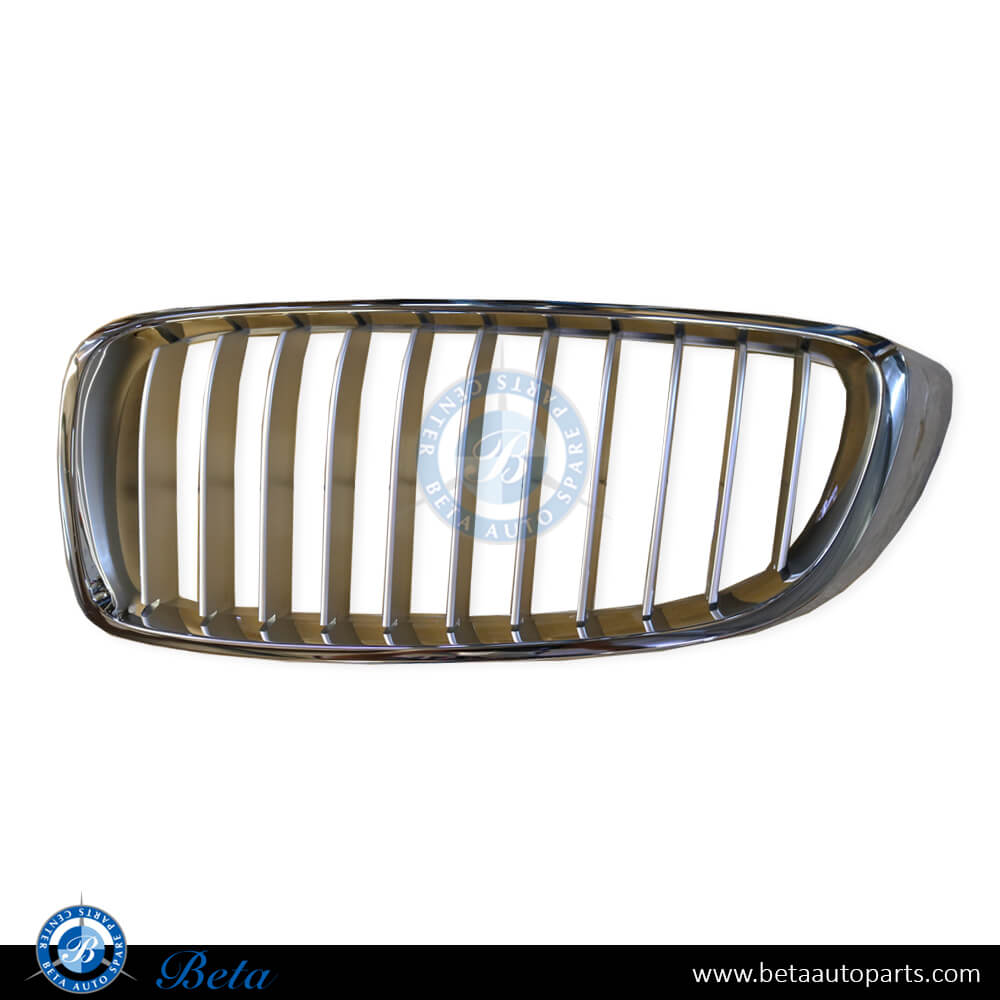 Left Side Radiator Grille for BMW 4 Series F32 / F36 2014-2020 models, Part Number 51137294819 Left Side Radiator Grille for BMW 4 Series F32 / F36 2014-2020 models, Part Number 51137294819